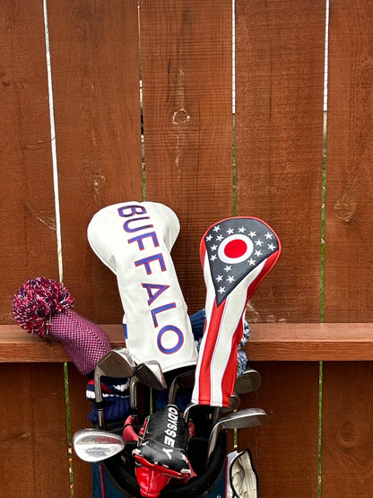 State of Ohio Driver Cover