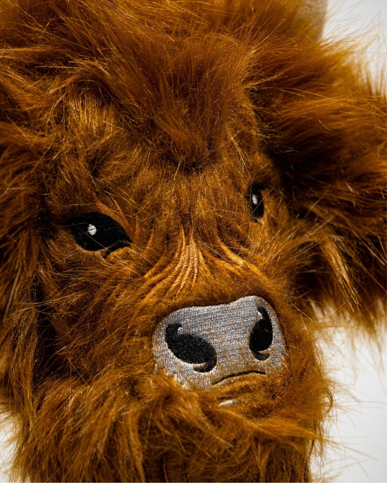 Highland Cow - Fairway Cover