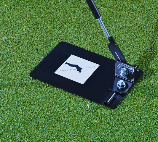 Swing Plate Extension Pole (pole only)